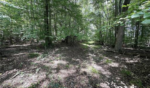 Photo #30 of Candy Creek, Reidsville, NC 110.6 acres