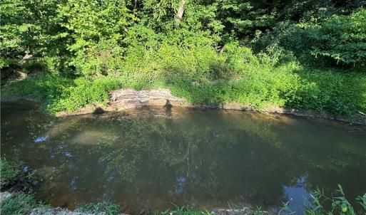 Photo #38 of Candy Creek, Reidsville, NC 110.6 acres