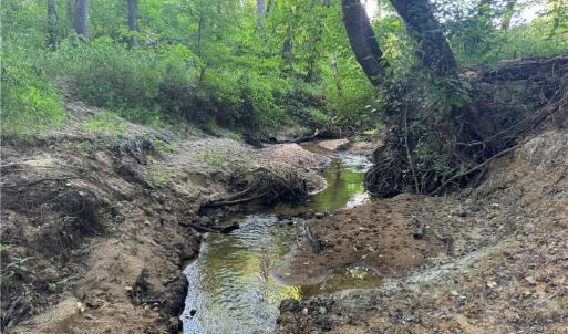Photo #41 of Candy Creek, Reidsville, NC 110.6 acres