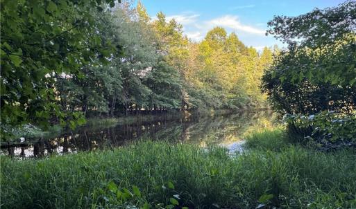 Photo #18 of Candy Creek, Reidsville, NC 110.6 acres