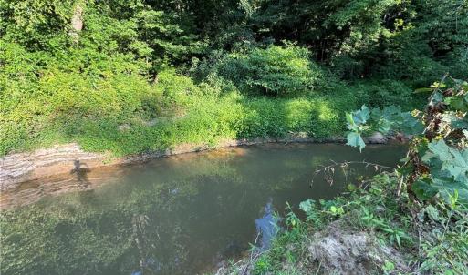 Photo #37 of Candy Creek, Reidsville, NC 110.6 acres