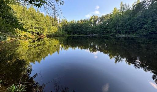 Photo #15 of Candy Creek, Reidsville, NC 110.6 acres