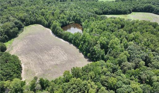 Photo #19 of Candy Creek, Reidsville, NC 110.6 acres