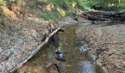 Photo #40 of Candy Creek, Reidsville, NC 110.6 acres