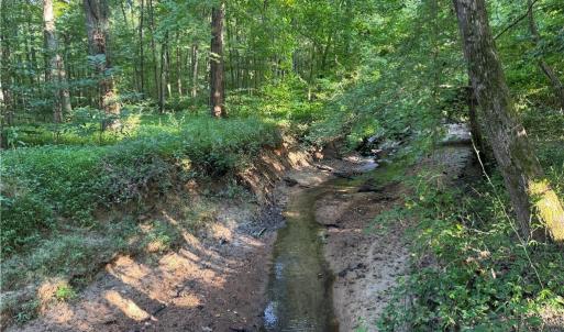 Photo #39 of Candy Creek, Reidsville, NC 110.6 acres