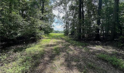 Photo #29 of Candy Creek, Reidsville, NC 110.6 acres