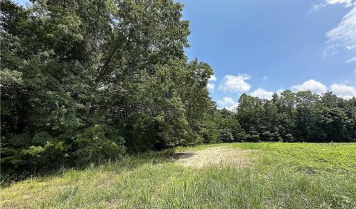 Photo #25 of Candy Creek, Reidsville, NC 110.6 acres