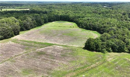Photo #21 of Candy Creek, Reidsville, NC 110.6 acres