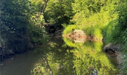 Photo #36 of Candy Creek, Reidsville, NC 110.6 acres