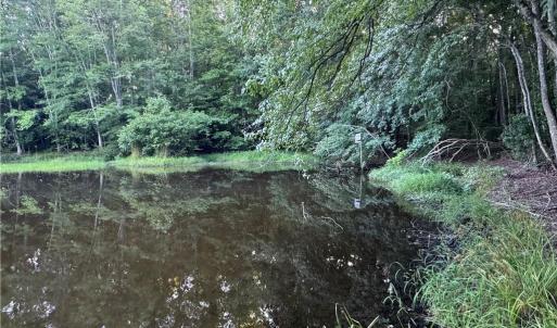 Photo #17 of Candy Creek, Reidsville, NC 110.6 acres
