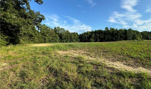 Photo #26 of Candy Creek, Reidsville, NC 110.6 acres