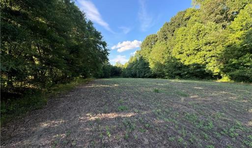 Photo #28 of Candy Creek, Reidsville, NC 110.6 acres