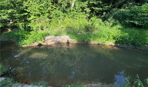 Photo #38 of Candy Creek, Reidsville, NC 110.6 acres