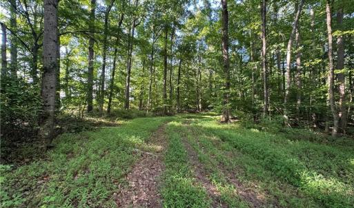 Photo #33 of Candy Creek, Reidsville, NC 110.6 acres
