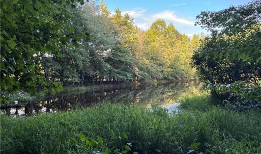 Photo #18 of Candy Creek, Reidsville, NC 110.6 acres