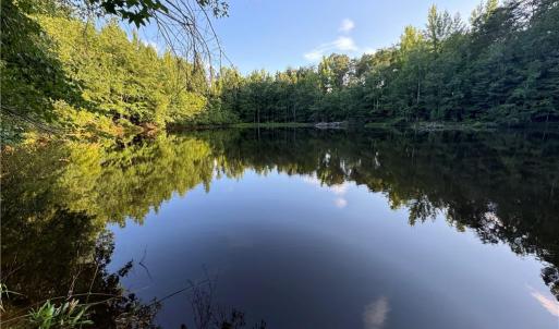Photo #15 of Candy Creek, Reidsville, NC 110.6 acres