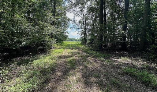 Photo #29 of Candy Creek, Reidsville, NC 110.6 acres