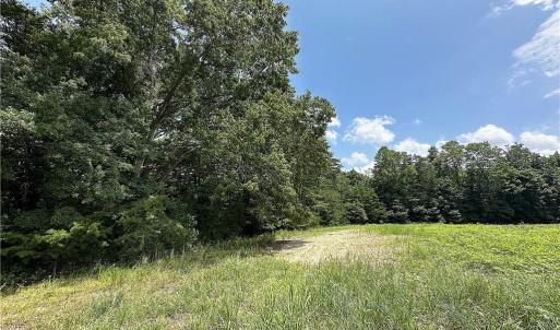 Photo #25 of Candy Creek, Reidsville, NC 110.6 acres