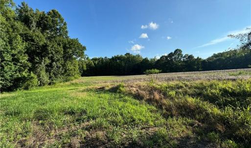 Photo #27 of Candy Creek, Reidsville, NC 110.6 acres