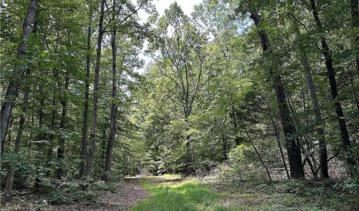 Photo #32 of Candy Creek, Reidsville, NC 110.6 acres