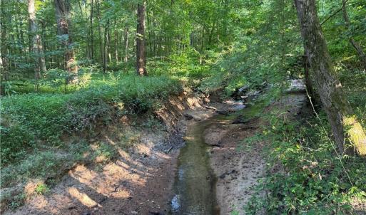 Photo #39 of Candy Creek, Reidsville, NC 110.6 acres