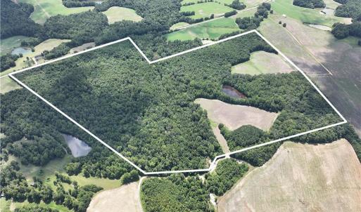 Photo #3 of Candy Creek, Reidsville, NC 110.6 acres