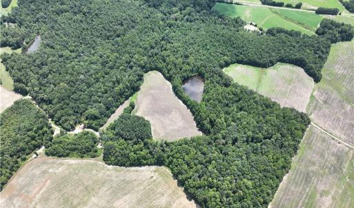 Photo #20 of Candy Creek, Reidsville, NC 110.6 acres