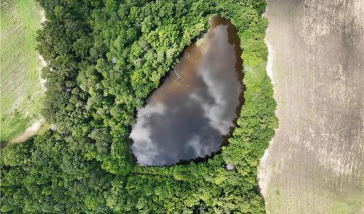 Photo #14 of Candy Creek, Reidsville, NC 110.6 acres