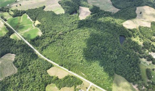 Photo #44 of Candy Creek, Reidsville, NC 110.6 acres