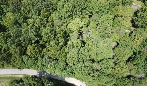 Photo #6 of 5421 Rambling, Greensboro, NC 5.0 acres