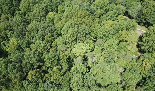 Photo #7 of 5421 Rambling, Greensboro, NC 5.0 acres