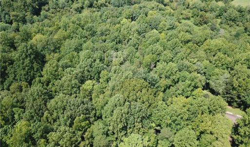 Photo #5 of 5421 Rambling, Greensboro, NC 5.0 acres