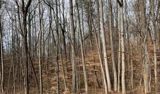 Photo #9 of 5421 Rambling, Greensboro, NC 5.0 acres