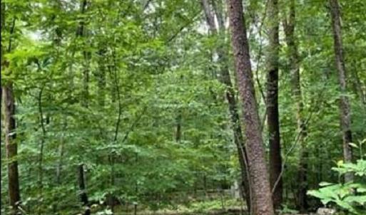 Photo #10 of 5421 Rambling, Greensboro, NC 5.0 acres