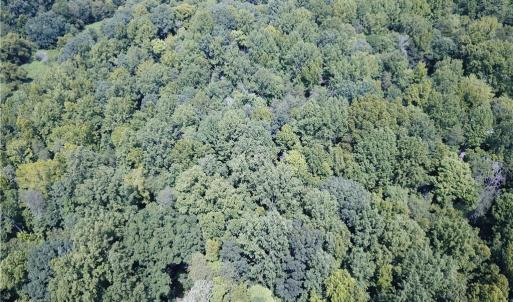 Photo #4 of 5421 Rambling, Greensboro, NC 5.0 acres