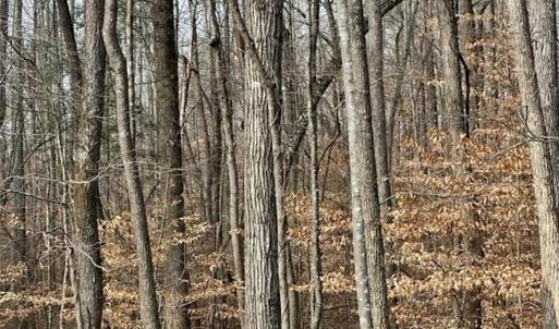 Photo #8 of 5421 Rambling, Greensboro, NC 5.0 acres
