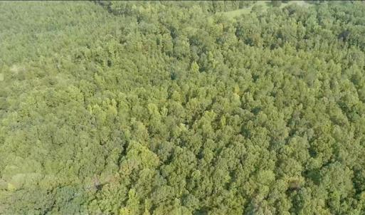 Photo #5 of Ophir, Troy, NC 30.4 acres