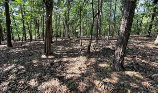Photo #28 of 135 Deep Water, New London, NC 1.1 acres