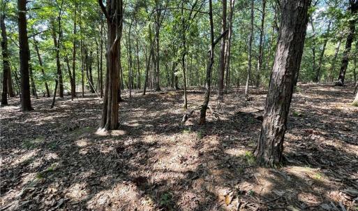 Photo #25 of 135 Deep Water, New London, NC 1.1 acres