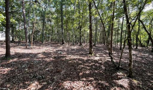 Photo #23 of 135 Deep Water, New London, NC 1.1 acres