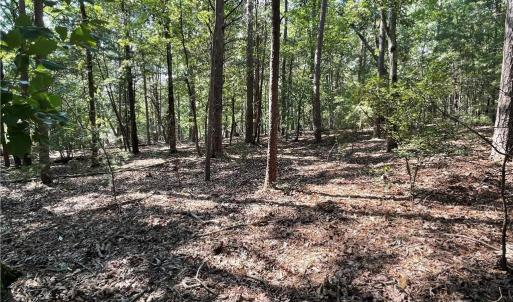 near street looking into lot