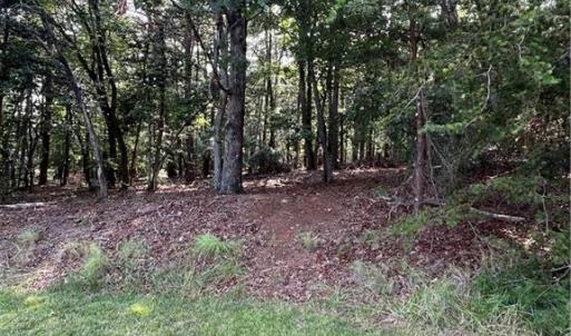 Photo #36 of 135 Deep Water, New London, NC 1.1 acres