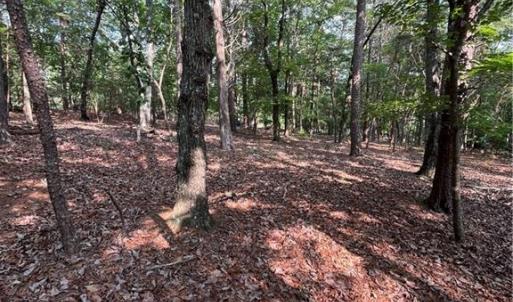 Photo #32 of 135 Deep Water, New London, NC 1.1 acres