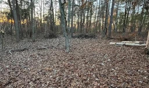 Photo #30 of 135 Deep Water, New London, NC 1.1 acres