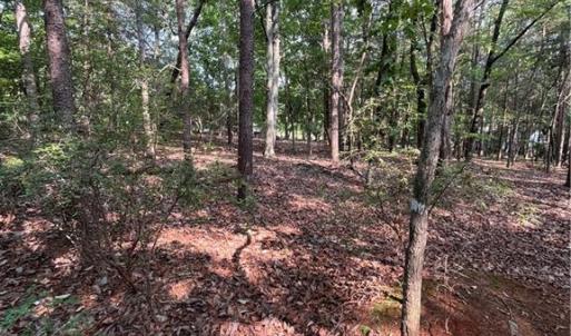 Photo #34 of 135 Deep Water, New London, NC 1.1 acres