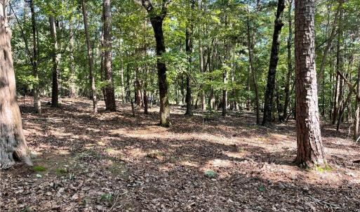 middle of lot looking toward the street