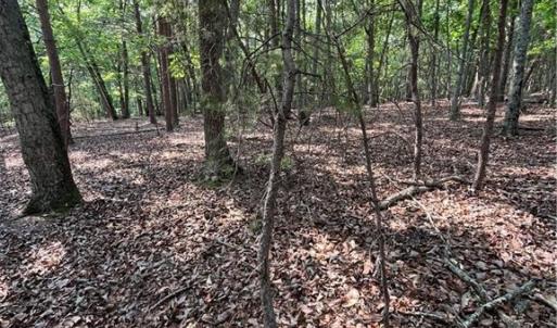 Photo #35 of 135 Deep Water, New London, NC 1.1 acres