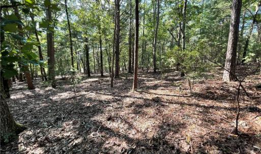 near street looking into lot