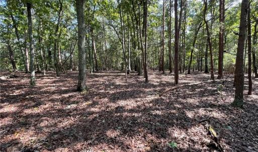 near back of lot looking toward street