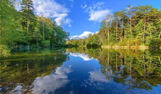 Photo #3 of 9427 Lissara Camp, Lewisville, NC 0.7 acres